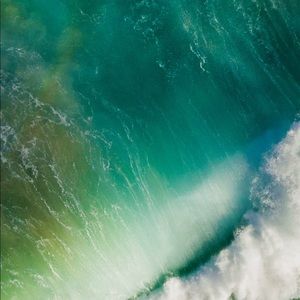 Meet your Posher, Casey